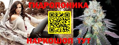 стаф Лесосибирск