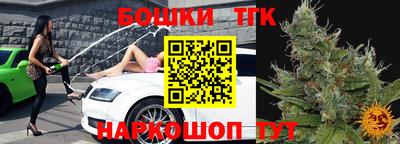 стаф Лесосибирск
