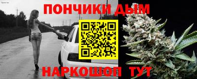стаф Лесосибирск